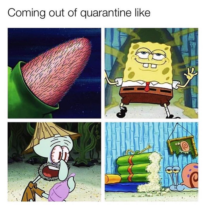 Coming Out Of Quarantine Like Funny