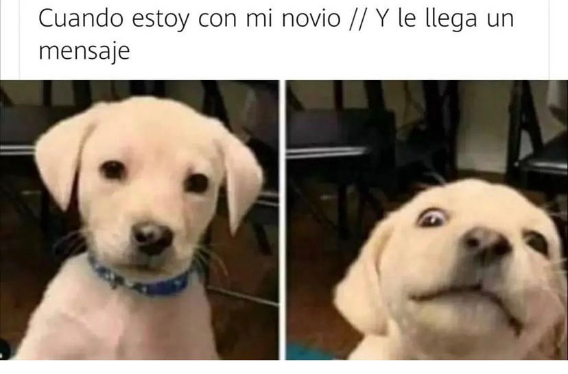 Cuando Estoy Con Mi Novio Y Le Llega Un Mensaje Memes