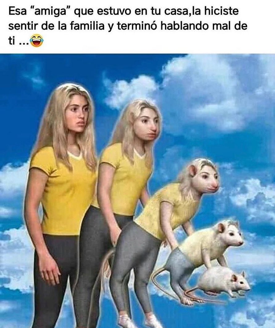 Karen ya bájate de ese tubo ya tenemos suficiente para mi wiskas Memes