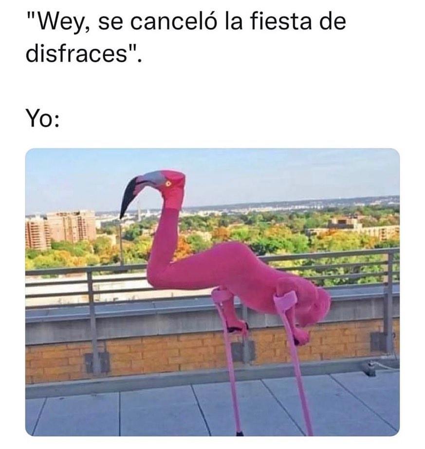 Wey Se Cancel La Fiesta De Disfraces Yo Memes
