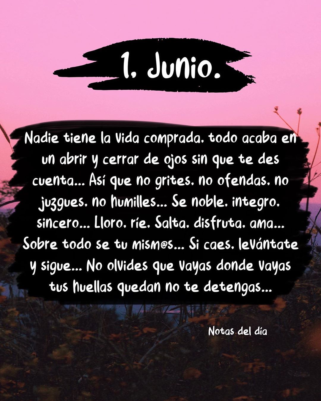 1. Junio. Nadie tiene la vida comprada, todo acaba en un abrir y cerrar de ojos sin que te des cuenta... Así que no grites, no ofendas, no juzgues, no humilles... Se noble, integro, sincero... Lloro, ríe, salta, disfruta, ama... Sobre todo se tu mism@... Si caes, levántate y sigue... No olvides que vayas donde vayas tus huellas quedan no te detengas...