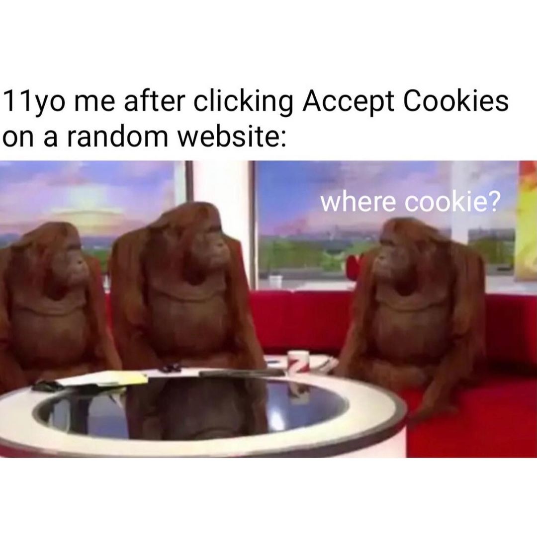 11yo me after clicking accept cookies on a random website: Where cookie?