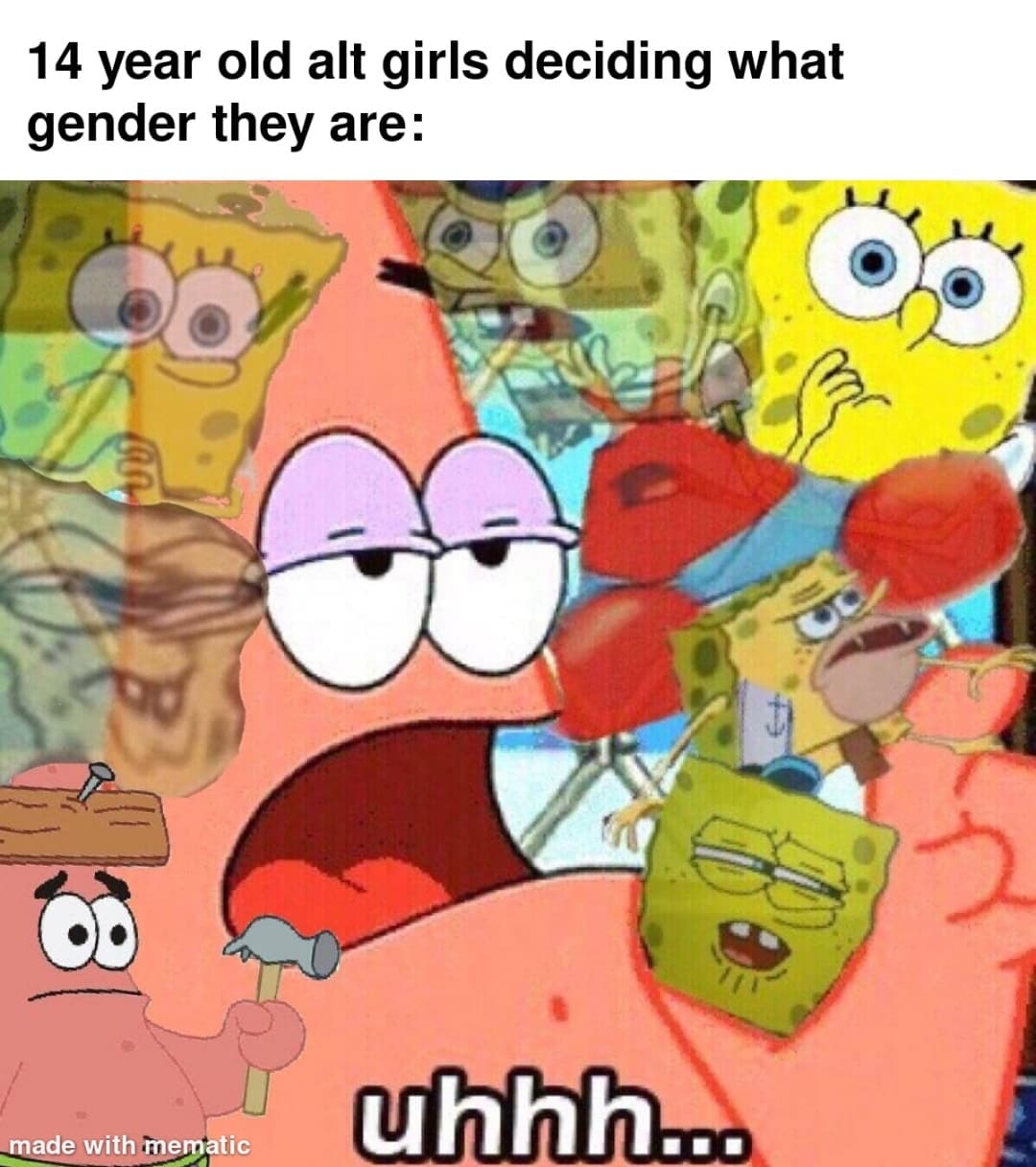 14 year old alt girls deciding what gender they are: Uhhh...