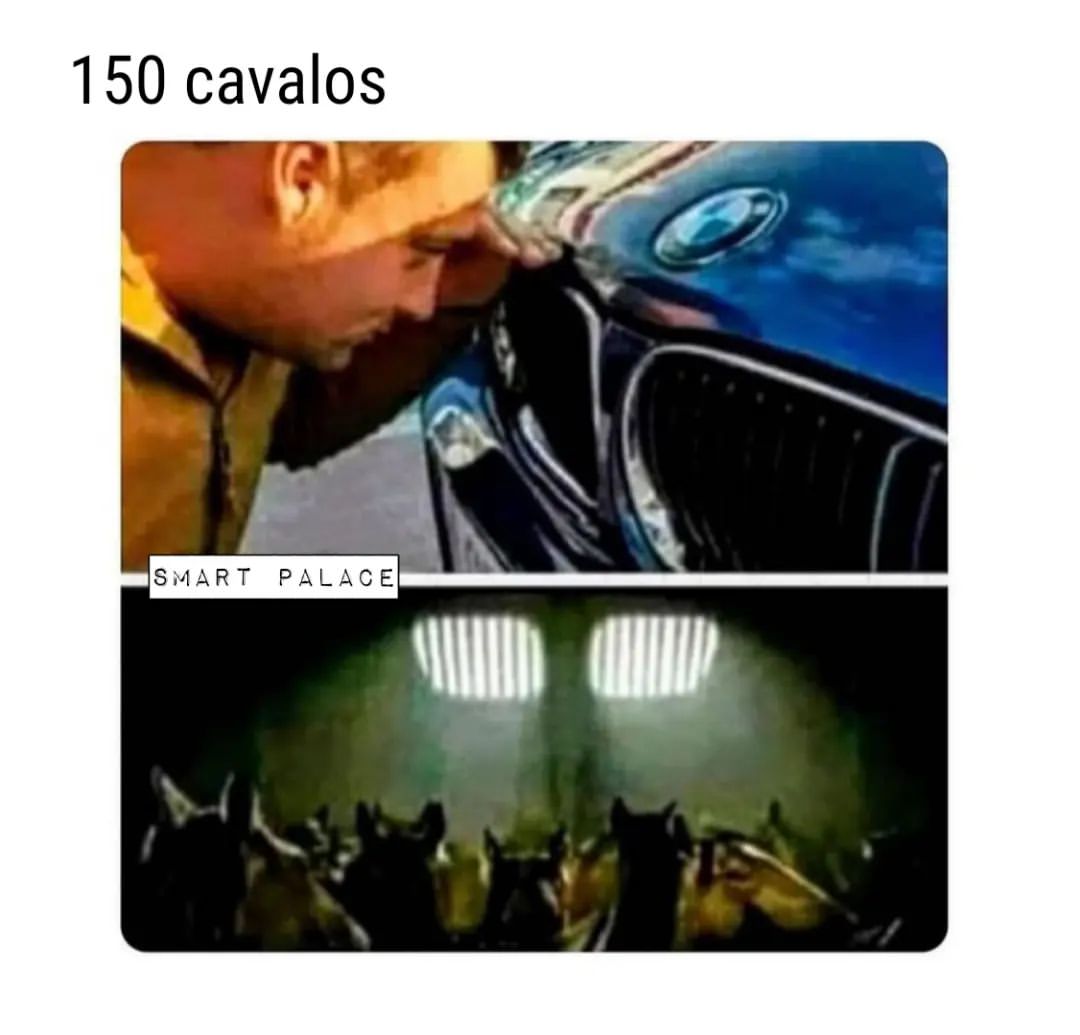 150-cavalos-memes