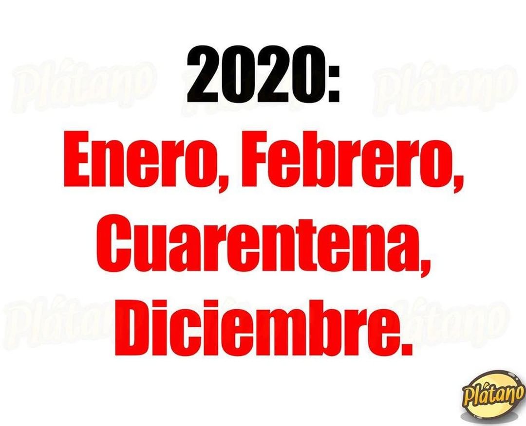 2020: Enero, Febrero, Cuarentena, Diciembre.