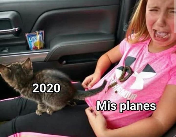 2020. Mis planes.