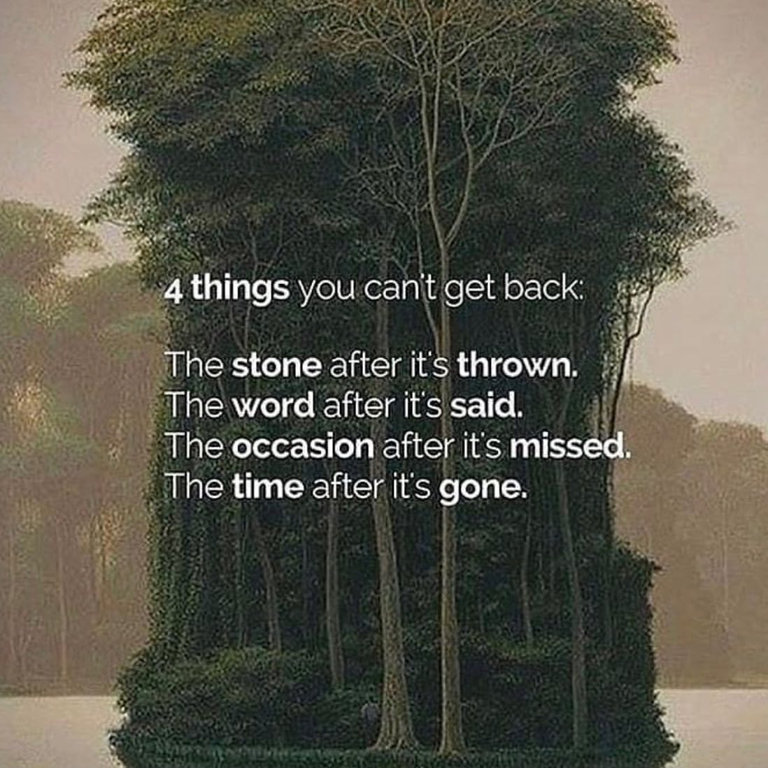 4 things you cant get back: The stone after it's thrown. The word after it's said. The occasion after it's missed. The time after it's gone.