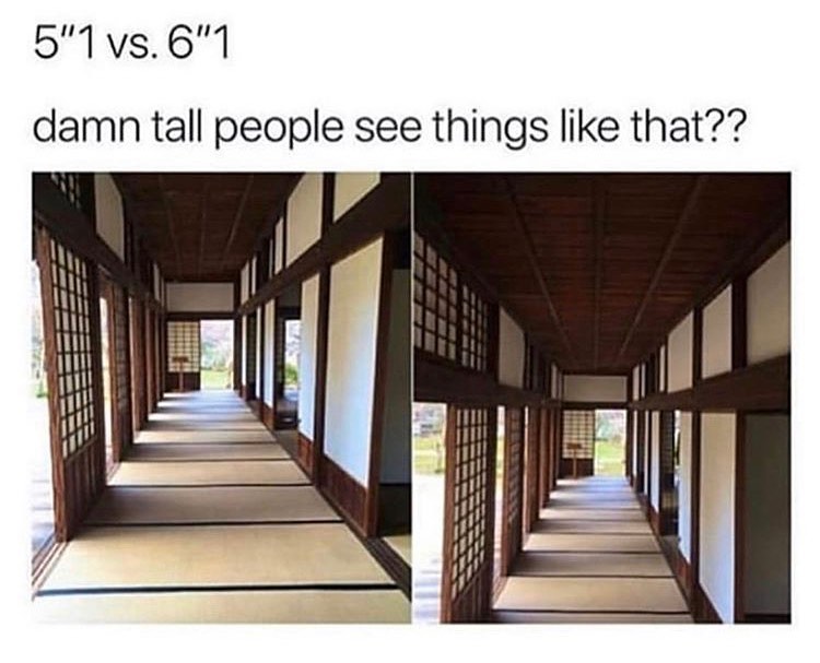 5"1 vs 6"1.  Damn tall people see things like that??