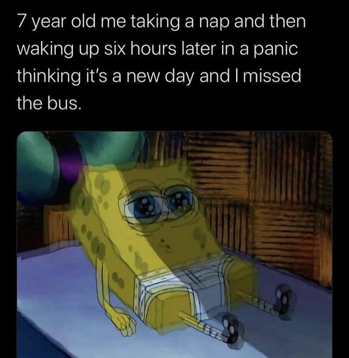 7 year old me taking a nap and then waking up six hours later in a panic thinking it's a new day and I missed the bus.