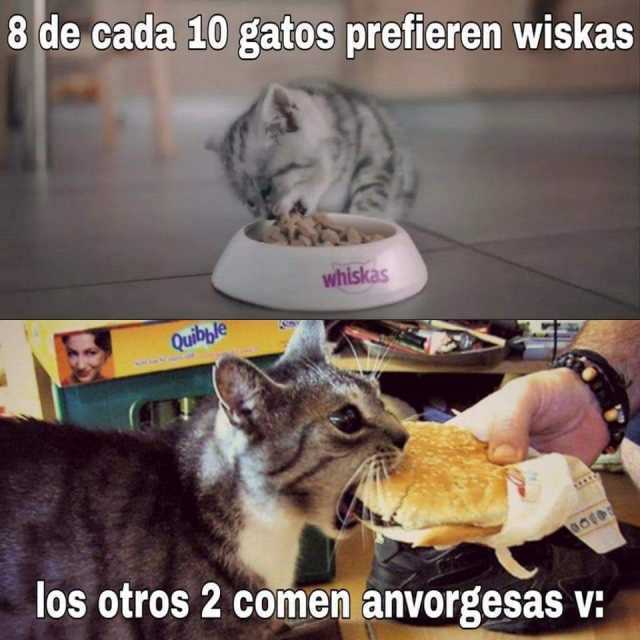 8 de cada 10 gatos prefieren wiskas.  Los otros 2 comen anvorgesas.