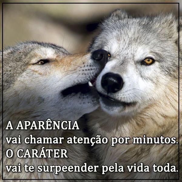 Parente não é familia! #familia #parents #familiatiktok #frasesmotivad