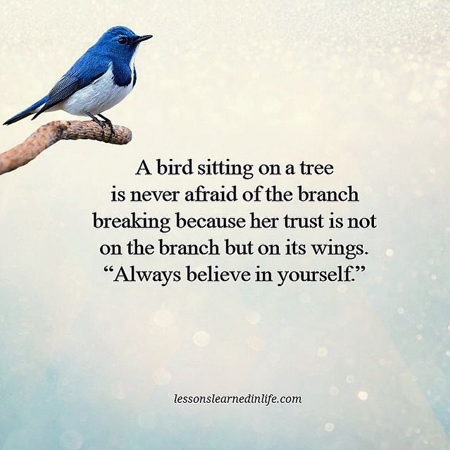 A bird sitting on a tree is never afraid of the branch breaking because her trust is not on the branch but on its wings. "Always believe in yourself."