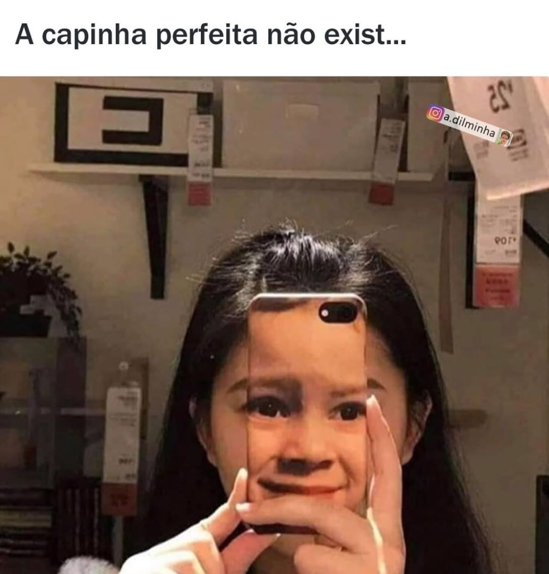 A capinha perfeita não exist...