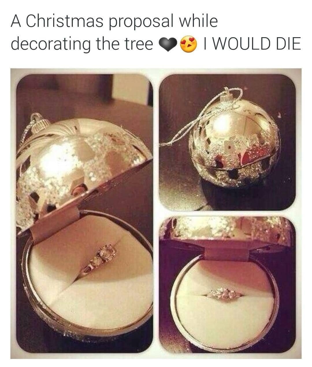 A Christmas proposal while decorating the tree I would die.