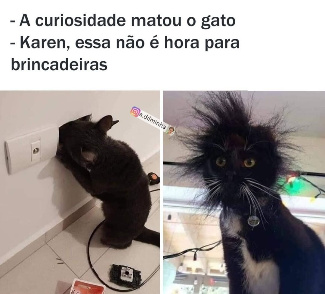 A curiosidade matou o gato.  Karen, essa não é hora para brincadeiras.