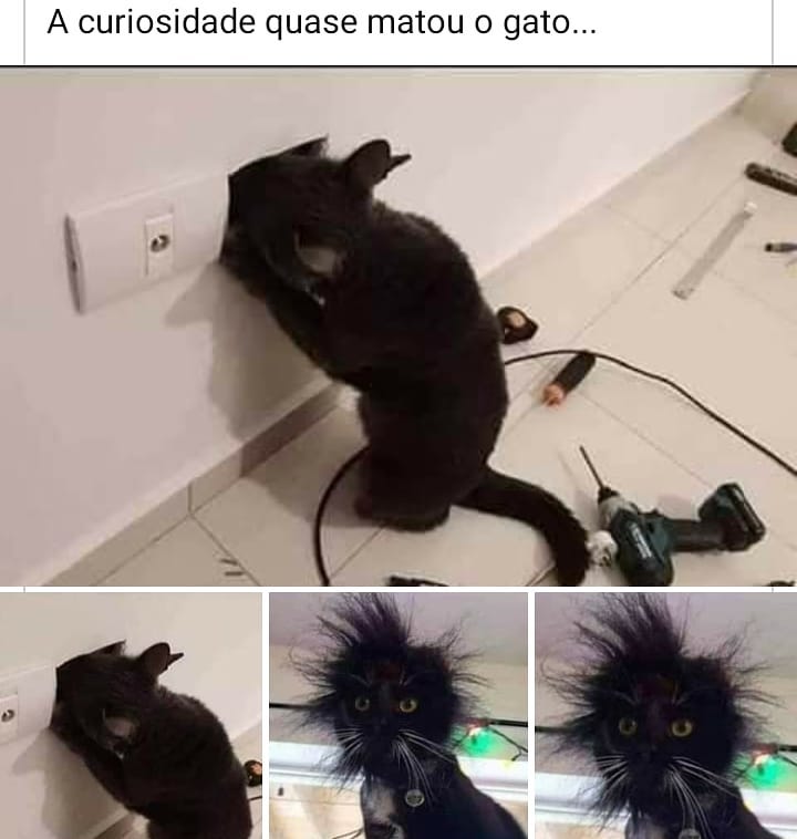 A Curiosidade Quase Matou O Gato Memes 3714