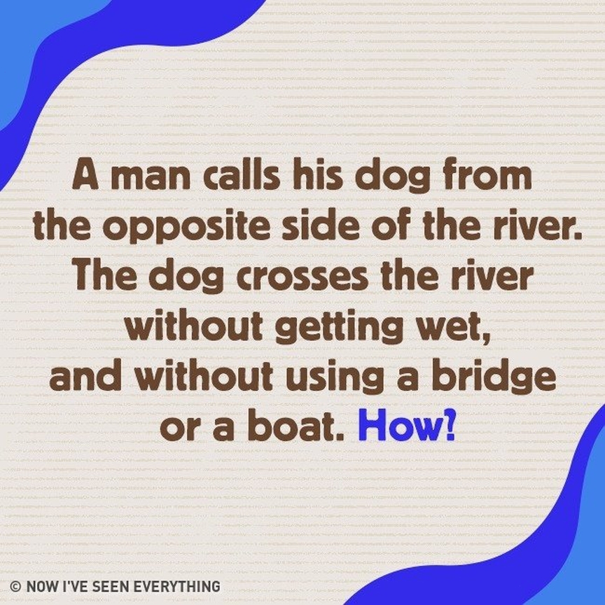 A man calls his dog from the opposite side of the river. The dog crosses the river without getting wet, and without using a bridge or a boat. How!