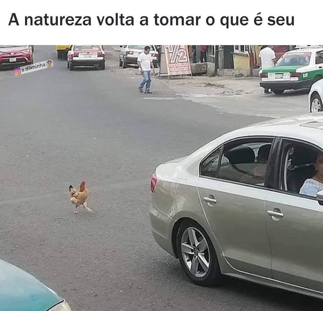 A natureza volta a tomar o que é seu.