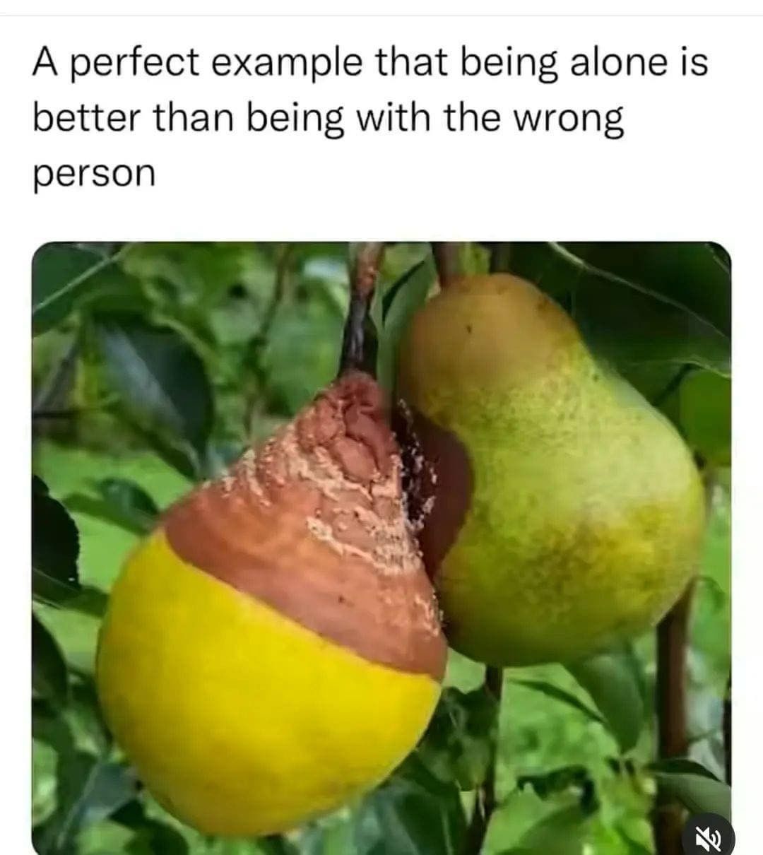 A Perfect Example That Being Alone Is Better Than Being With The Wrong 