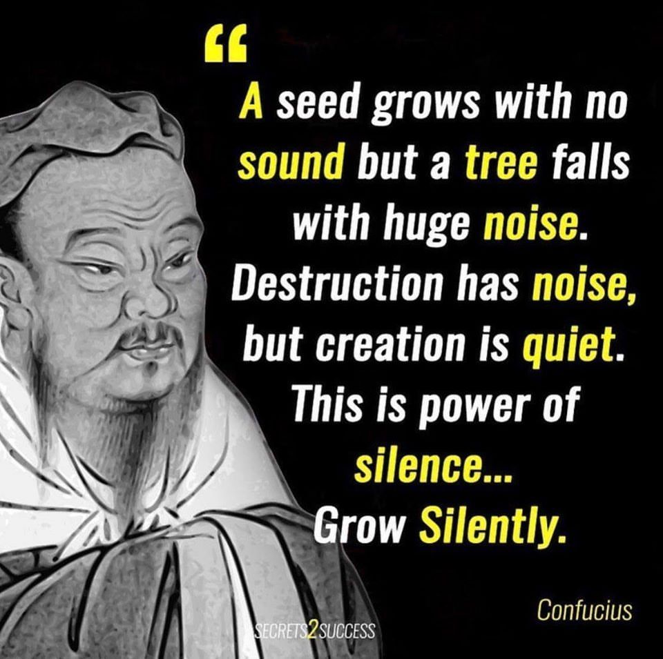 A seed grows with no sound but a tree falls with huge noise. Destruction has noise, but creation is quiet. This is power of silence. Grow silently.
