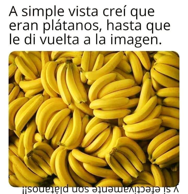 A simple vista creí que eran plátanos, hasta que le di vuelta a la imagen.