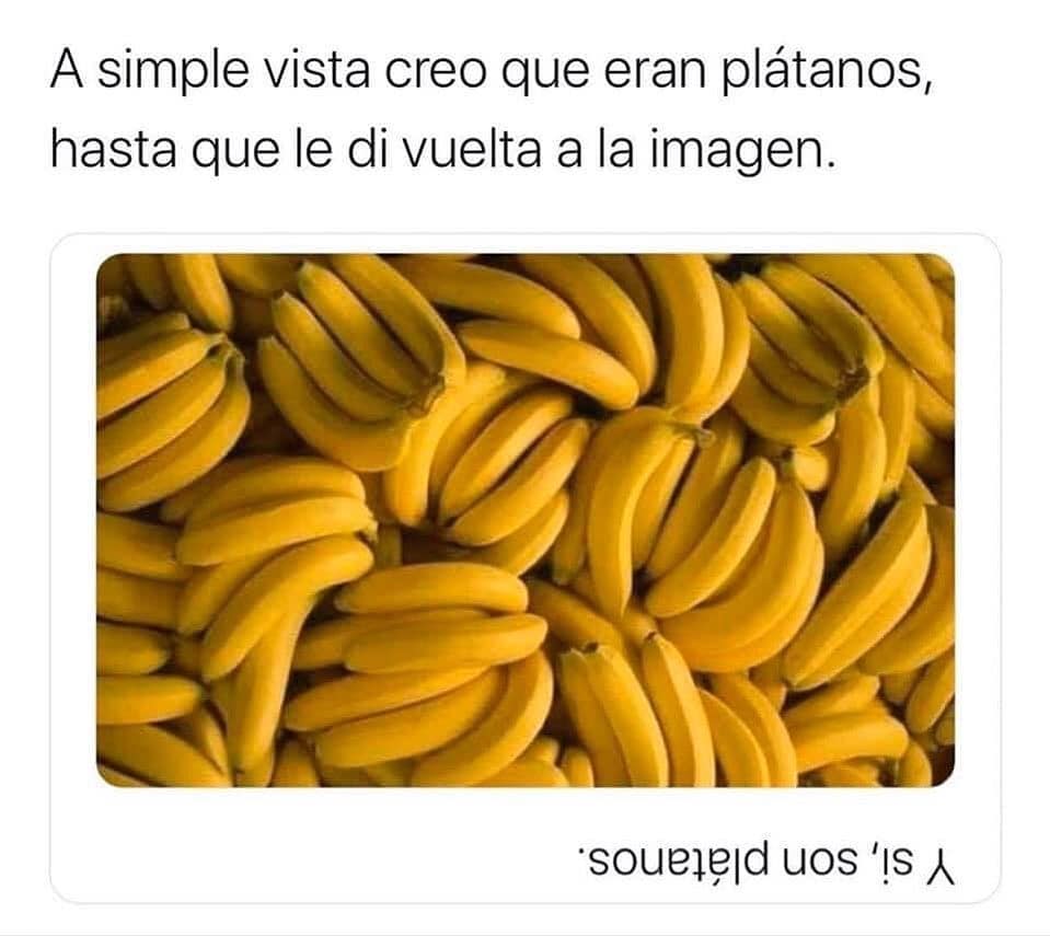 A simple vista creo que eran plátanos, hasta que le di vuelta a la imagen. Y sí, son plátanos.