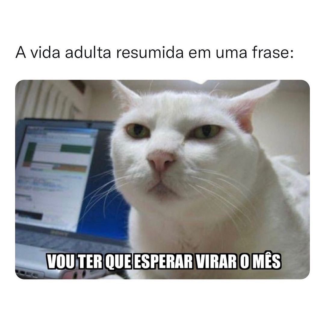 A vida adulta resumida em uma frase: Vou ter que esperar virar o mês.