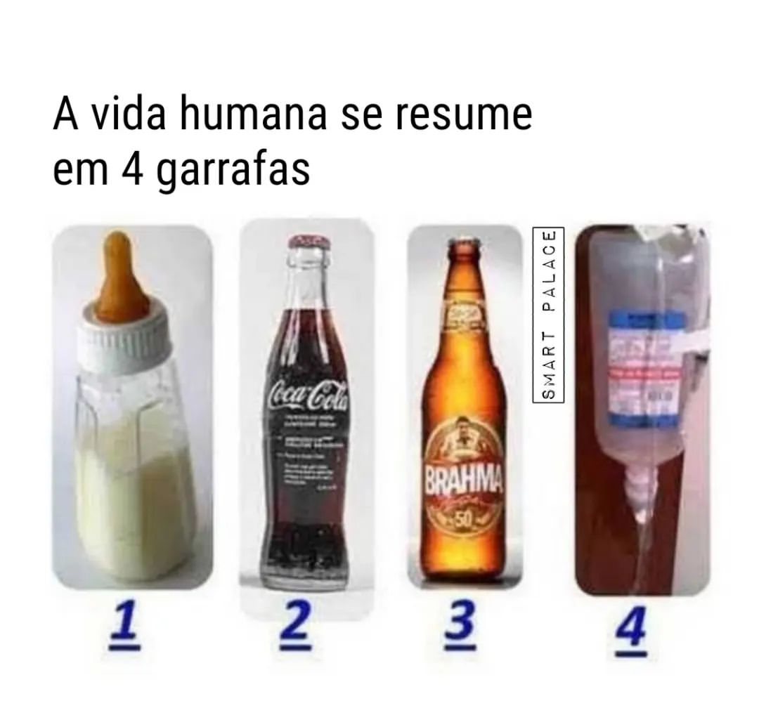 A vida humana se resume em 4 garrafas.