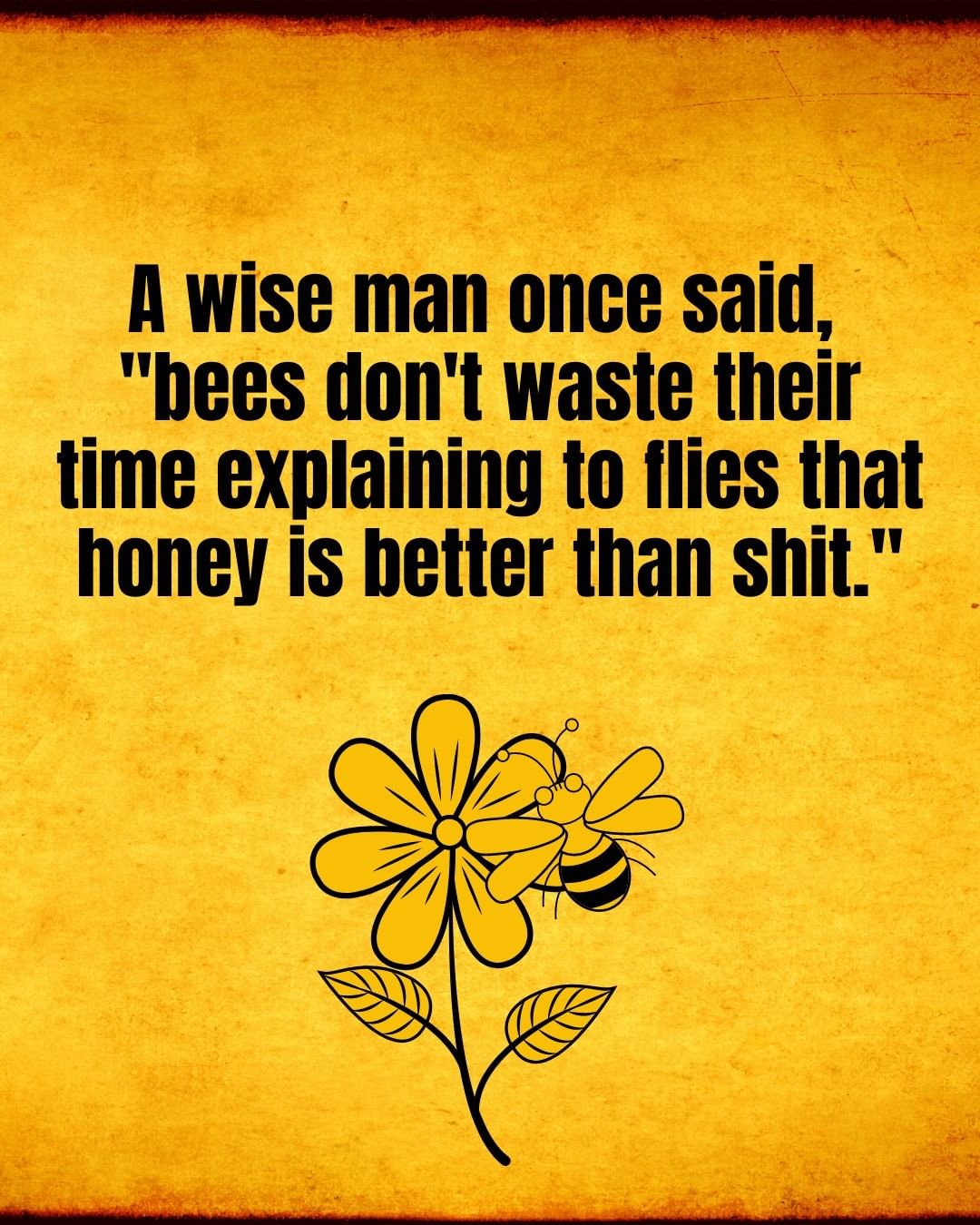 A Wise Man Once Said Bees Don t Waste Their Time Explaining To Flies 