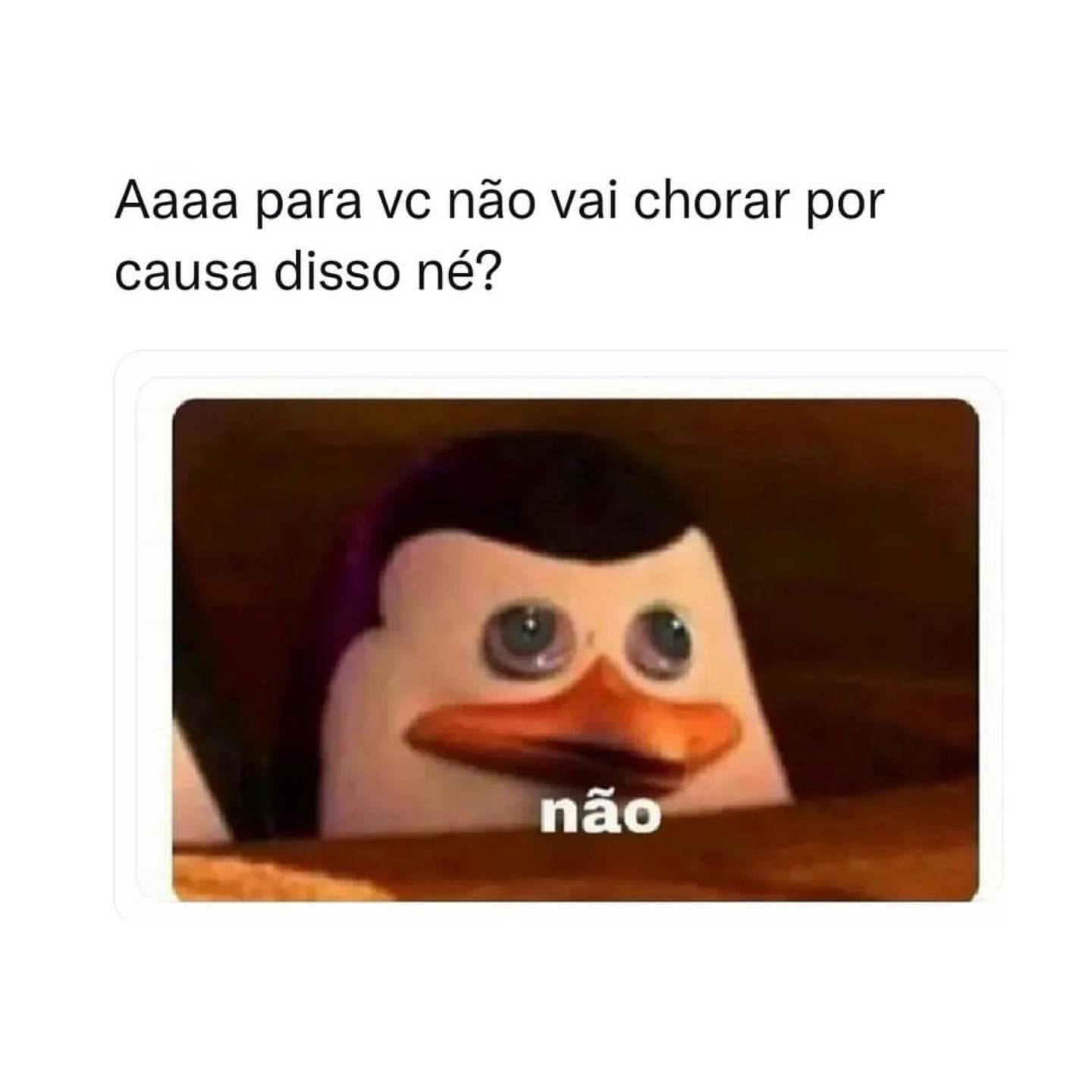 Aaaa para vc não vai chorar por causa disso né? Não.