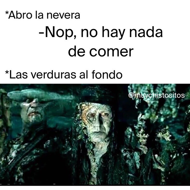 *Abro la nevera. Nop, no hay nada de comer. *Las verduras al fondo.