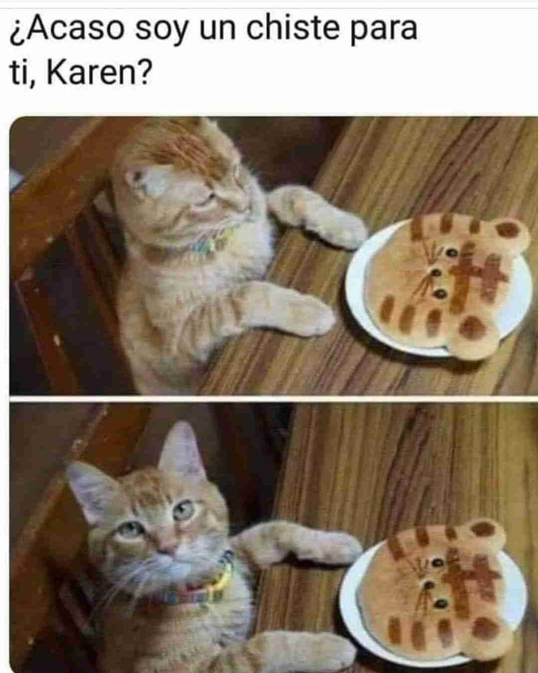 ¿Acaso soy un chiste para ti, Karen?