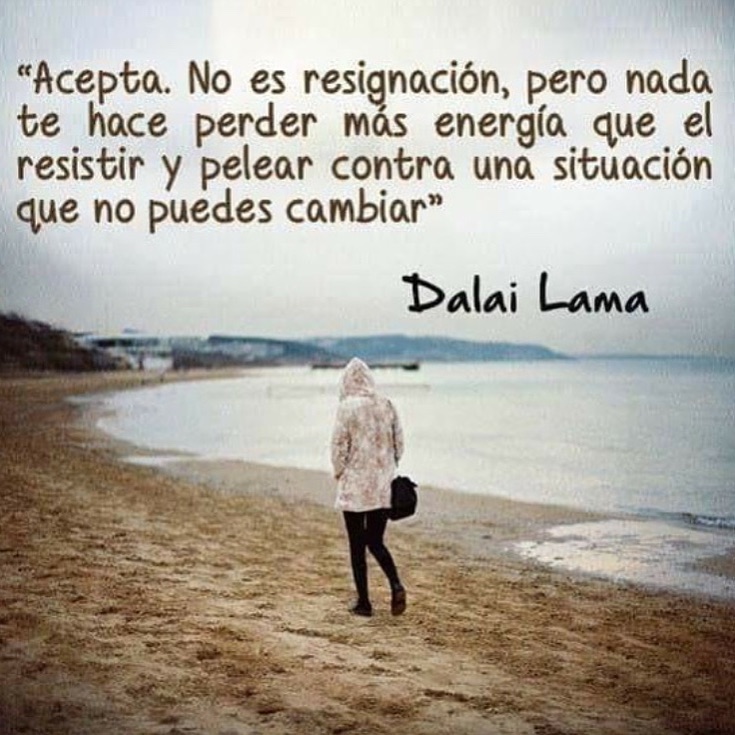 "Acepta. No es resignación pero nada te hace perder más tiempo y energía que el resistir y pelear contra una situación que no puedes cambiar." Dalai Lama.