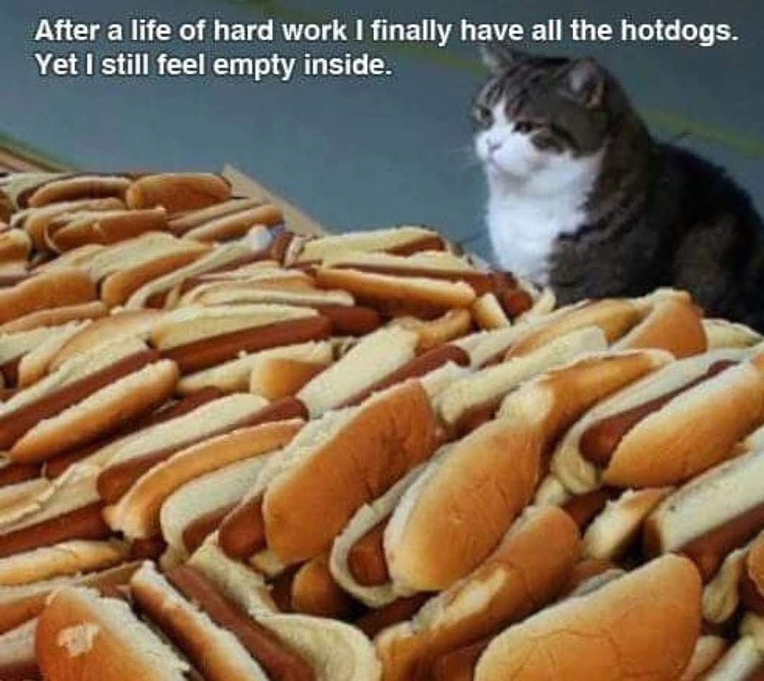 After a life of hard work I finally have all the hotdogs. Yet I still feel empty inside.