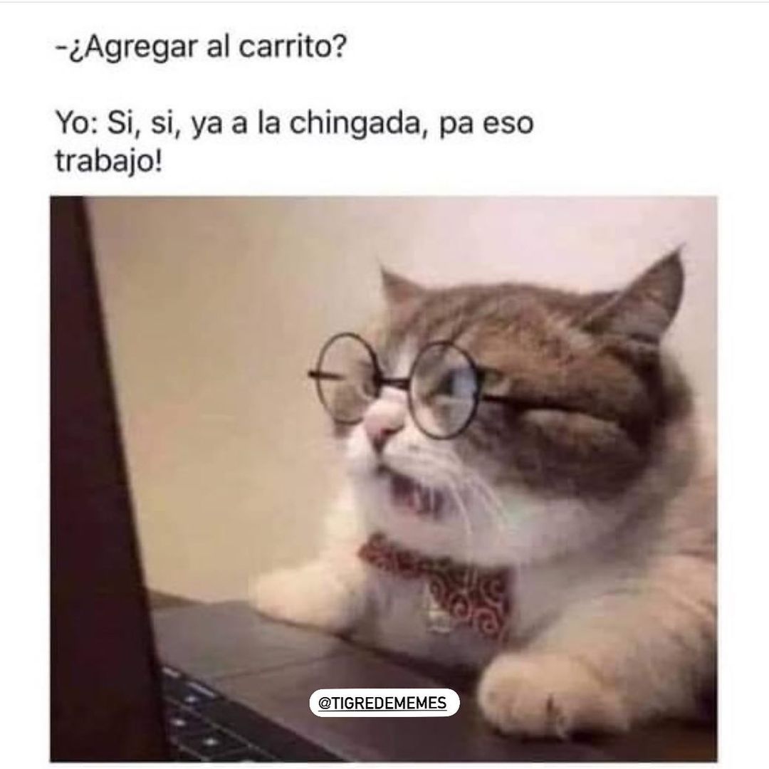 ¿Agregar al carrito? Yo: Si, si, ya a la chingada, pa eso trabajo!