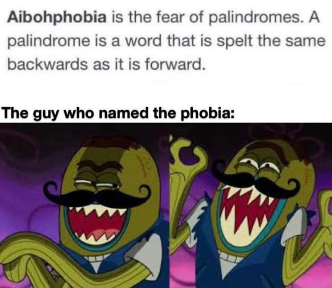 Aibohphobia is the fear of palindromes. A palindrome is a word that is spelt the same backwards as it is forward. The guy who named the phobia: