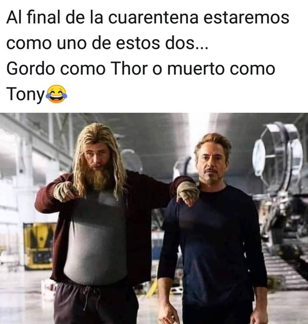 Al final de la cuarentena estaremos como uno de estos dos... Gordo como Thor o muerto como Tony.