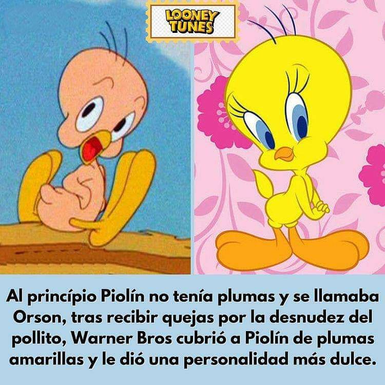 Al princípio Piolín no tenía plumas y se llamaba Orson, tras recibir quejas por la desnudez del pollito, Warner Bros cubrió a Piolín de plumas amarillas y le dio una personalidad más dulce.