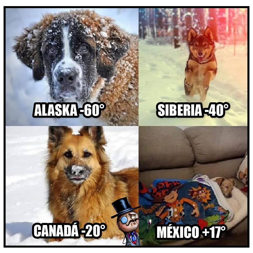 Alaska -60°. Siberia -40°. Canadá -20°. México +17°.