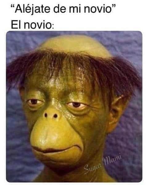 "Aléjate de mi novio". El novio: