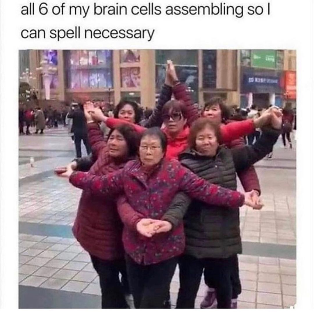 All 6 of my brain cells assembling so I can spell necessary.