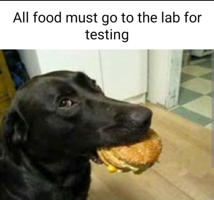 All food must go to the lab for testing.