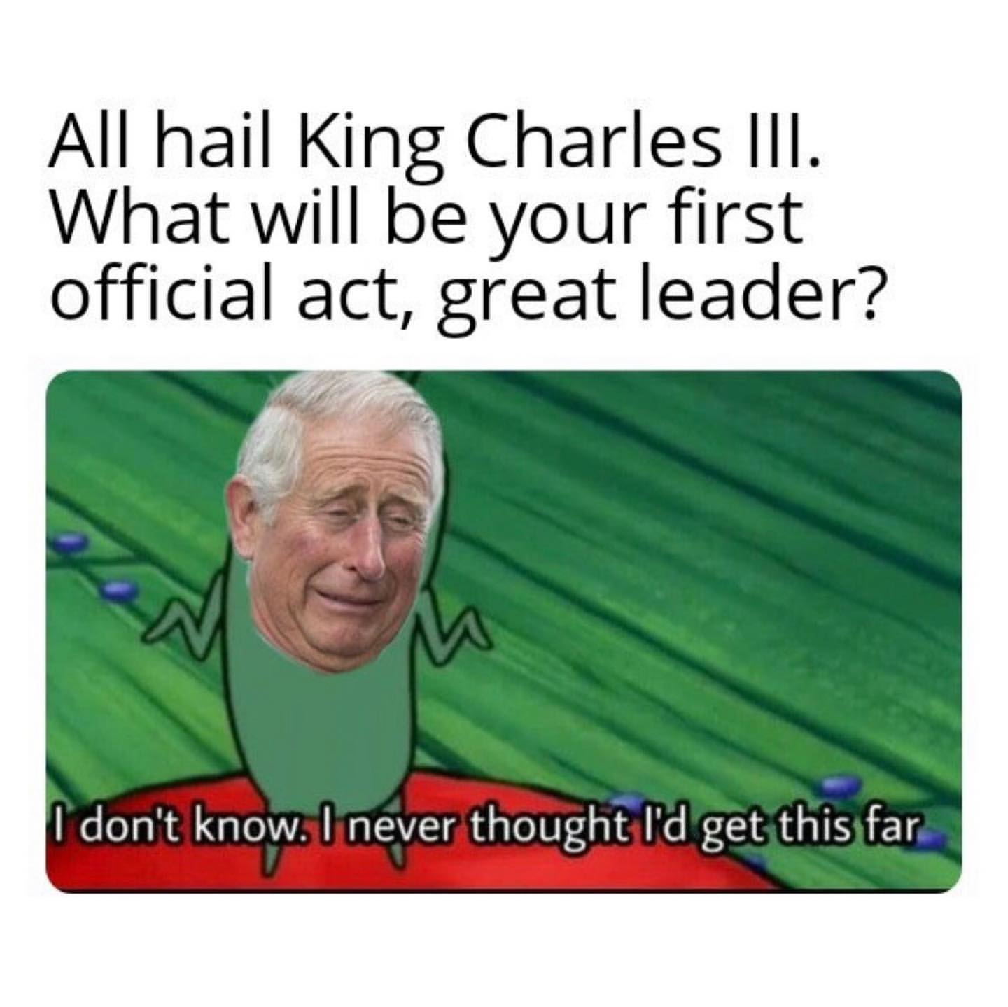 All hail King Charles III. What will be your first official act, great leader?  I don't: know. I never thought I'd get this far.