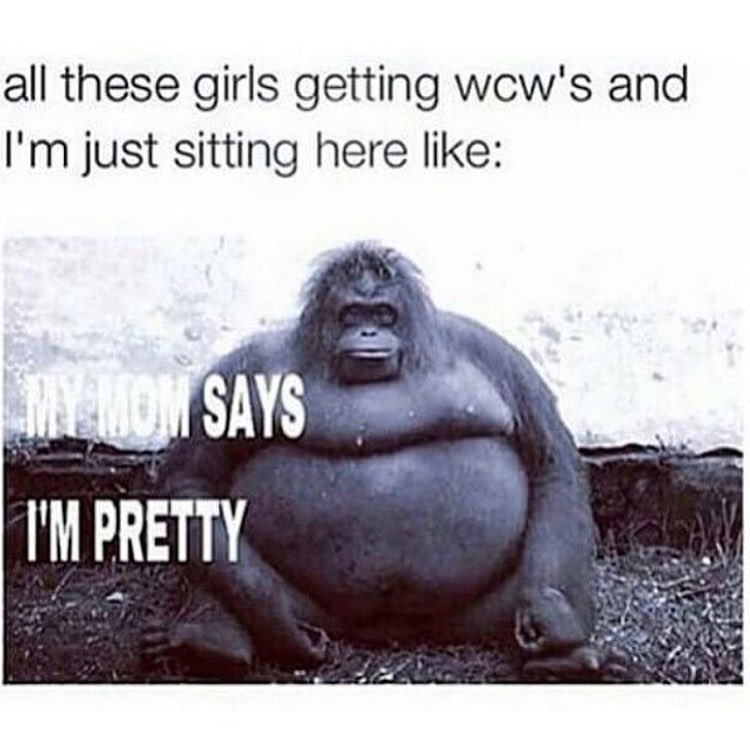 All these girls getting wow's and I'm just sitting here like: My mom says I'm pretty.