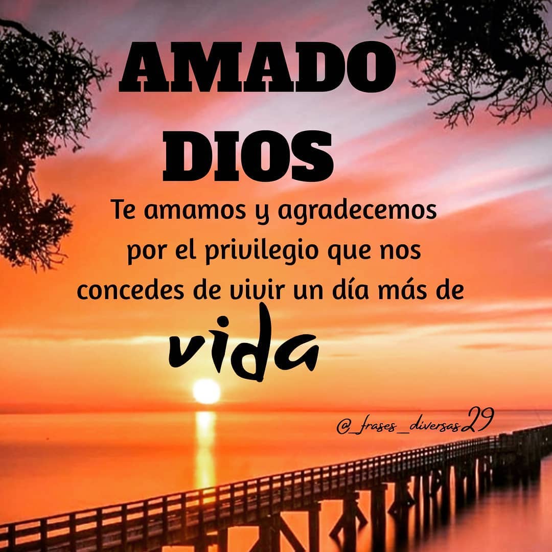 Amado Dios. Te amamos y agradecemos por el privilegio que nos concedes de vivir un día más de vida.