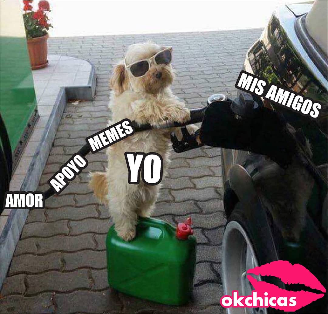 Amor. Apoyo. Memes. Mis amigos. Yo.