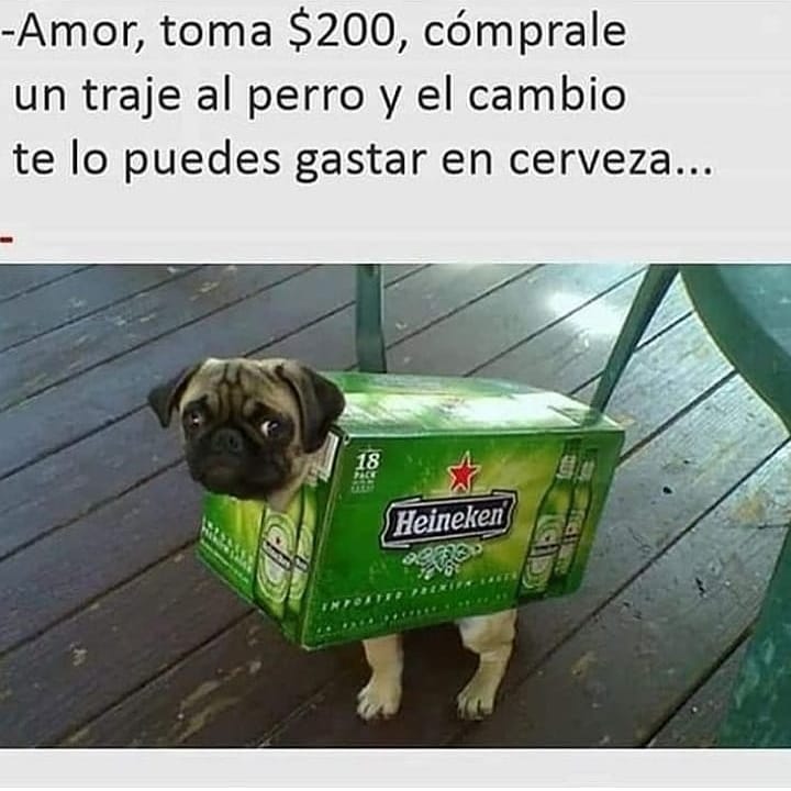 Amor, toma $200, cómprale un traje al perro y el cambio te lo puedes