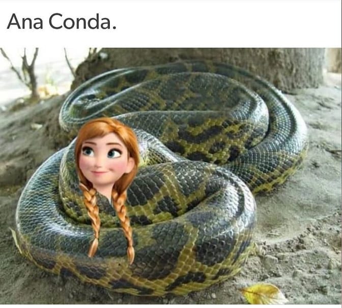 Ana Conda.