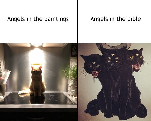 Angels in the paintings. Angels in the bible.