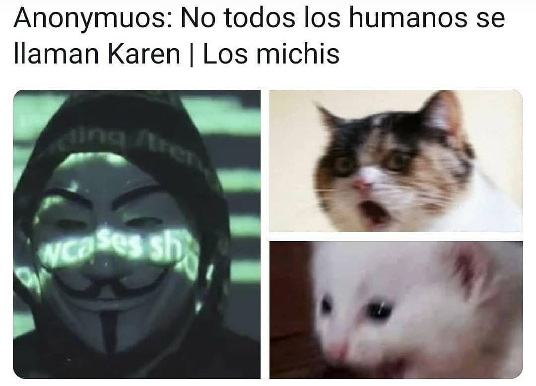 Anonymuos: No todos los humanos se llaman Karen. / Los michis.
